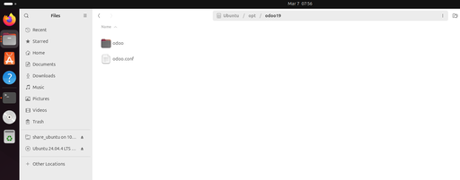 File /opt/odoo19/odoo.conf